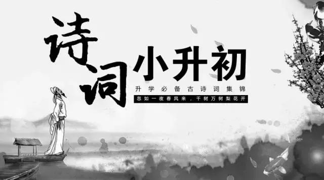 2018小升初,要想语文得个好成绩,你得让孩子背