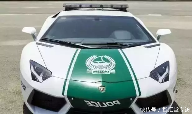 兰博基尼警车、疯狂的建筑、不可思议的宠物......这是迪拜人的生