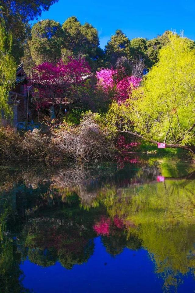 嗨，那个赶路人，这里是丽江