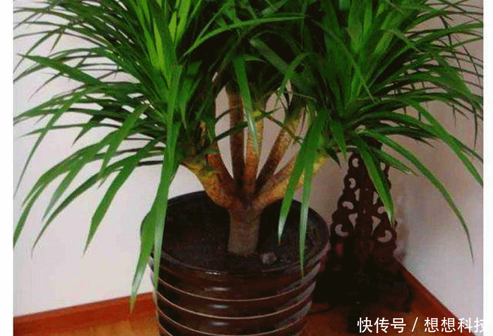 t01b027e3fffddc5e00.gif