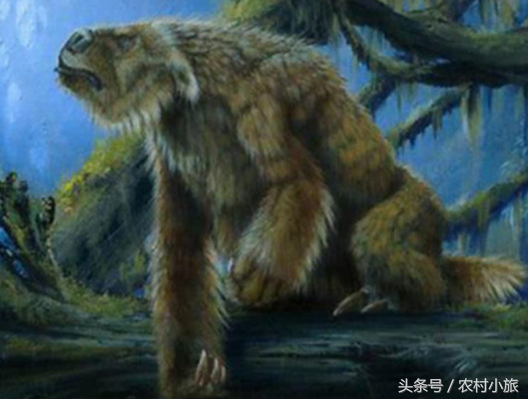 t01b0babf33a767c72f.png?size=528x399