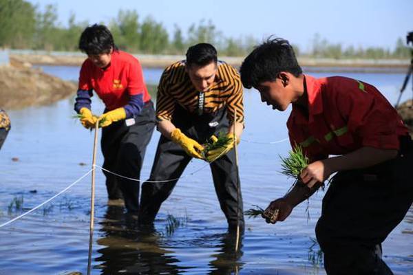 這魚有潛力嗎