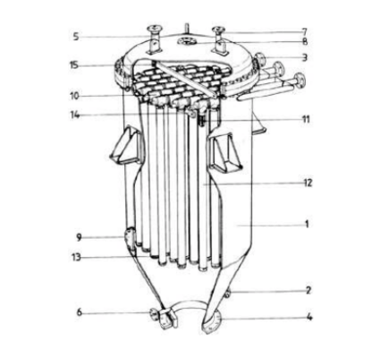 龍魚(yú)品相鑒別方法圖片（龍魚(yú)品相鑒別方法圖片大全）