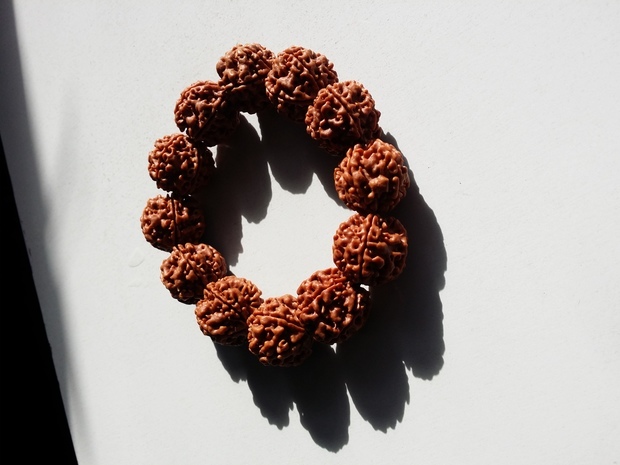 啥是金刚纱 t01b1a50ff81e7ee01f.jpg