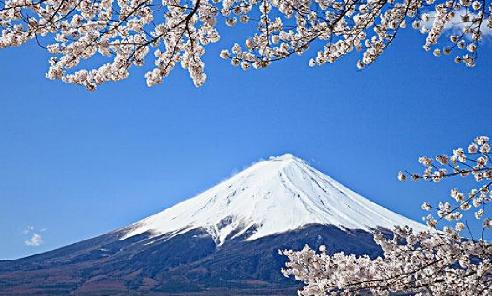 天了噜!日本富士山居然是私人财产 政府每年还
