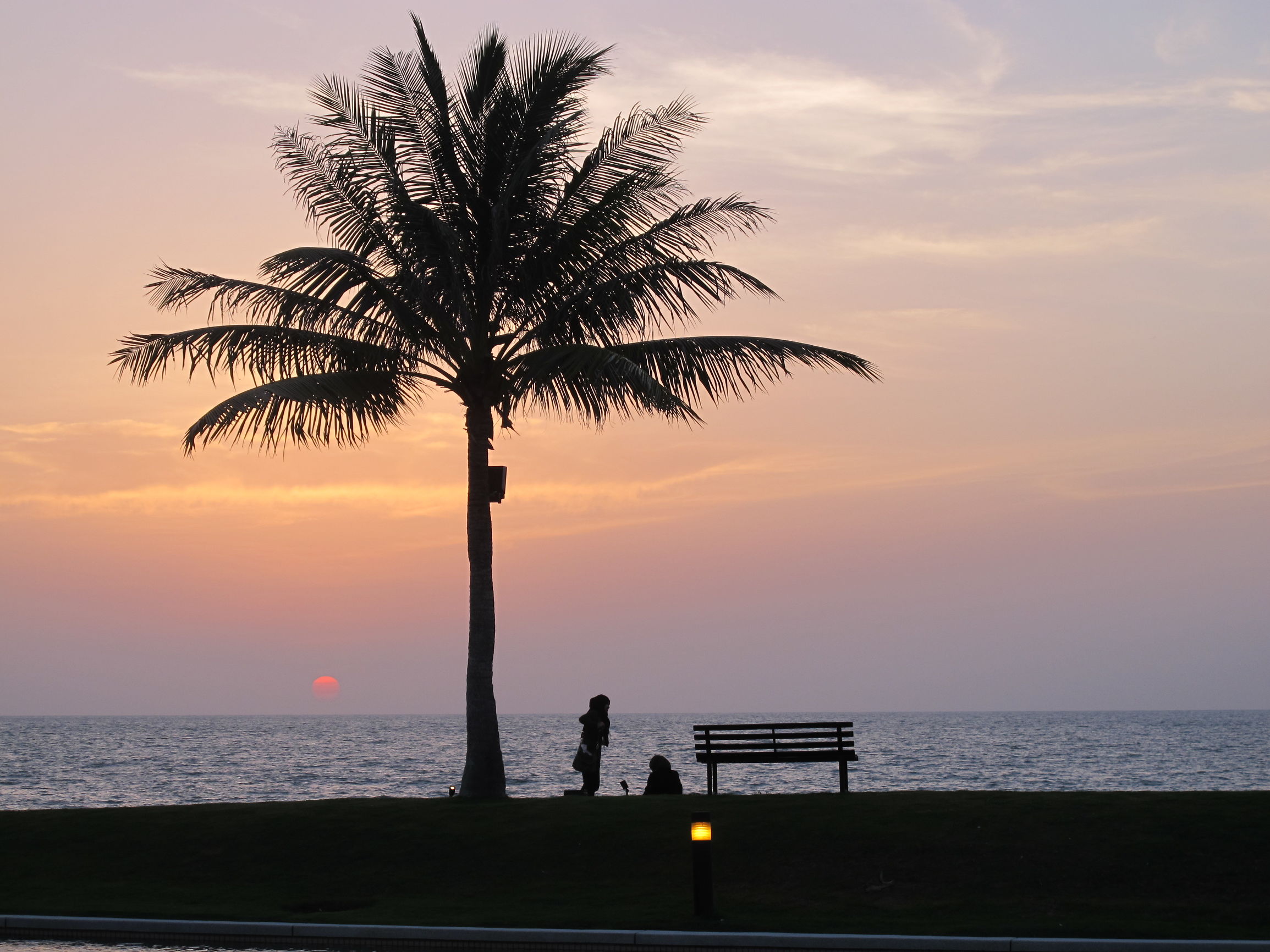 这个东南亚最有钱的国家,是600年前的福建人创