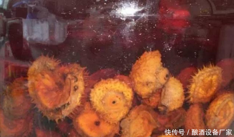 刺梨怎么泡酒?刺梨酒有什么功效?