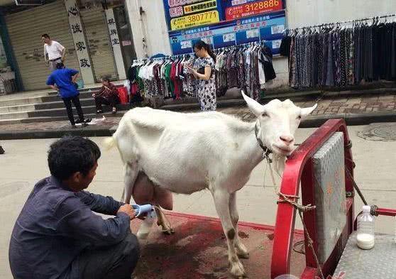 未来五年最适合在农村创业的好项目,农民不再