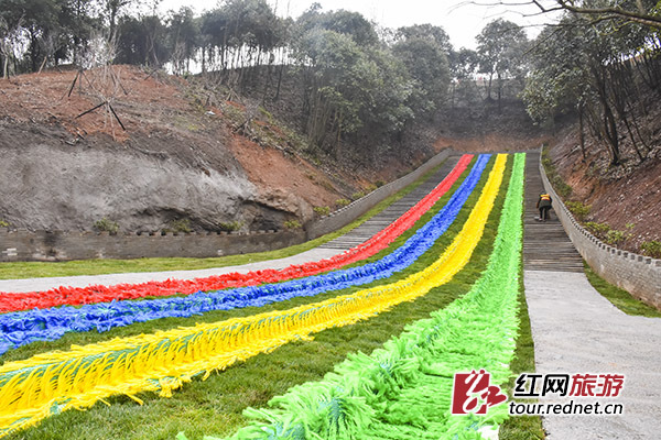 长沙浔龙河樱花谷开园 春日相约中南最大赏樱胜地