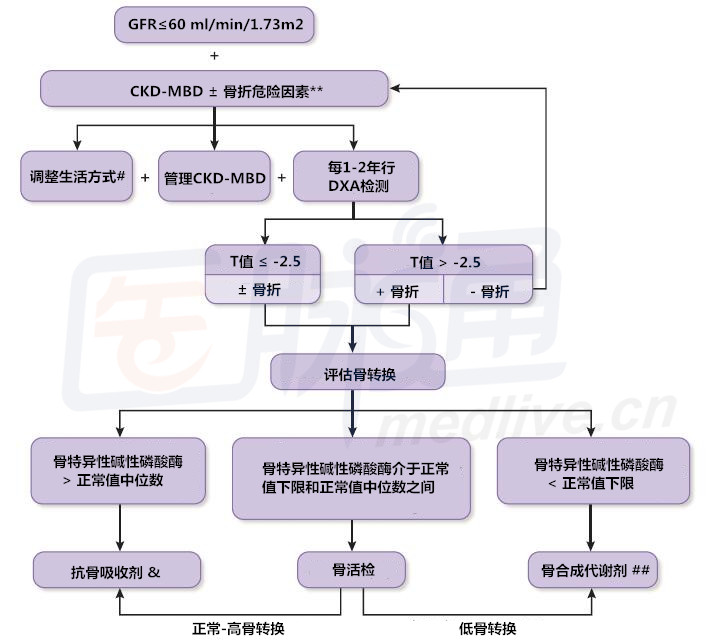 一图一表:全面掌握CKD骨质疏松的诊断和治疗