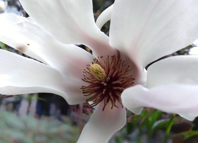 百元手机也有这些高大上的功能 荣耀畅玩7c体