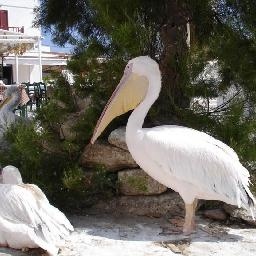 卢卡库跑去踢五人制足球,大力射门的脚法还是