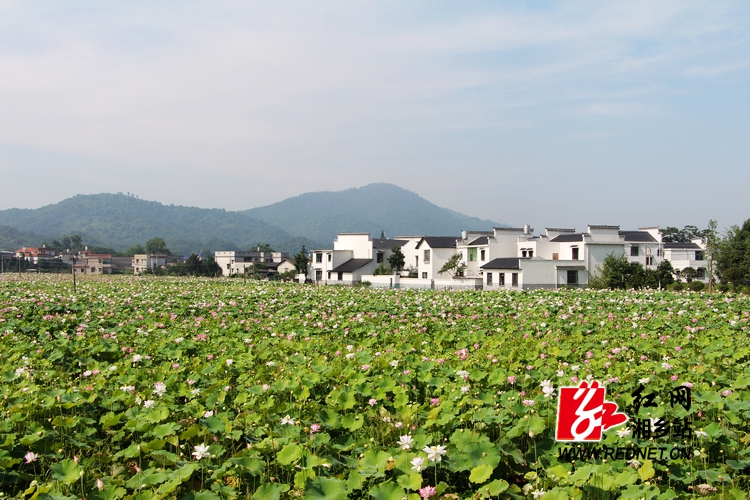 暑假去哪儿:＂别有洞天＂的东郊现代农业示范园