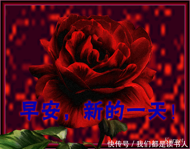 早上好图片大全动态表情  640x500 - 734kb - other 早上好祝福语大全