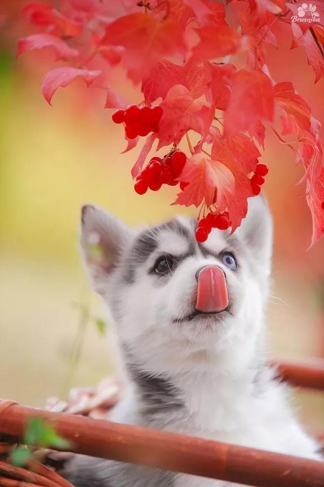 朋友圈的幽默说说，总有一句你会喜欢，值得收藏