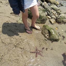 特朗普与灭霸早年合作的广告