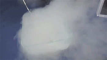 350_197gif 动态图 动图