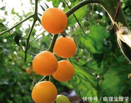 男人特别爱你,就会有这些表现,注意了吗?