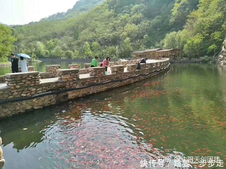 t01b93fef8e0d754f64.jpg?size=720x540