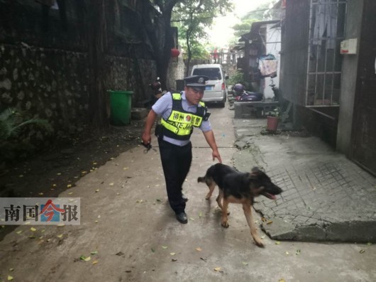 希望狗主人见报后,及时到柳北巡警大队胜利警务站(胜利立交桥底西侧)