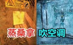 听说这游戏挺养生