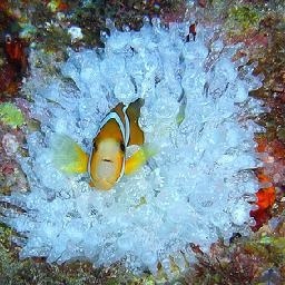 超好听!田馥甄北京草莓音乐节现场 快来感受一