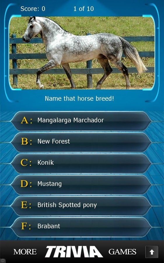 Name that Horse Breed Trivia截图5