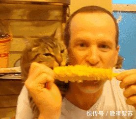 三女一男打美女,谁输谁脱麻将,面具不知衣服是最强-的我男子美女小姐大图片