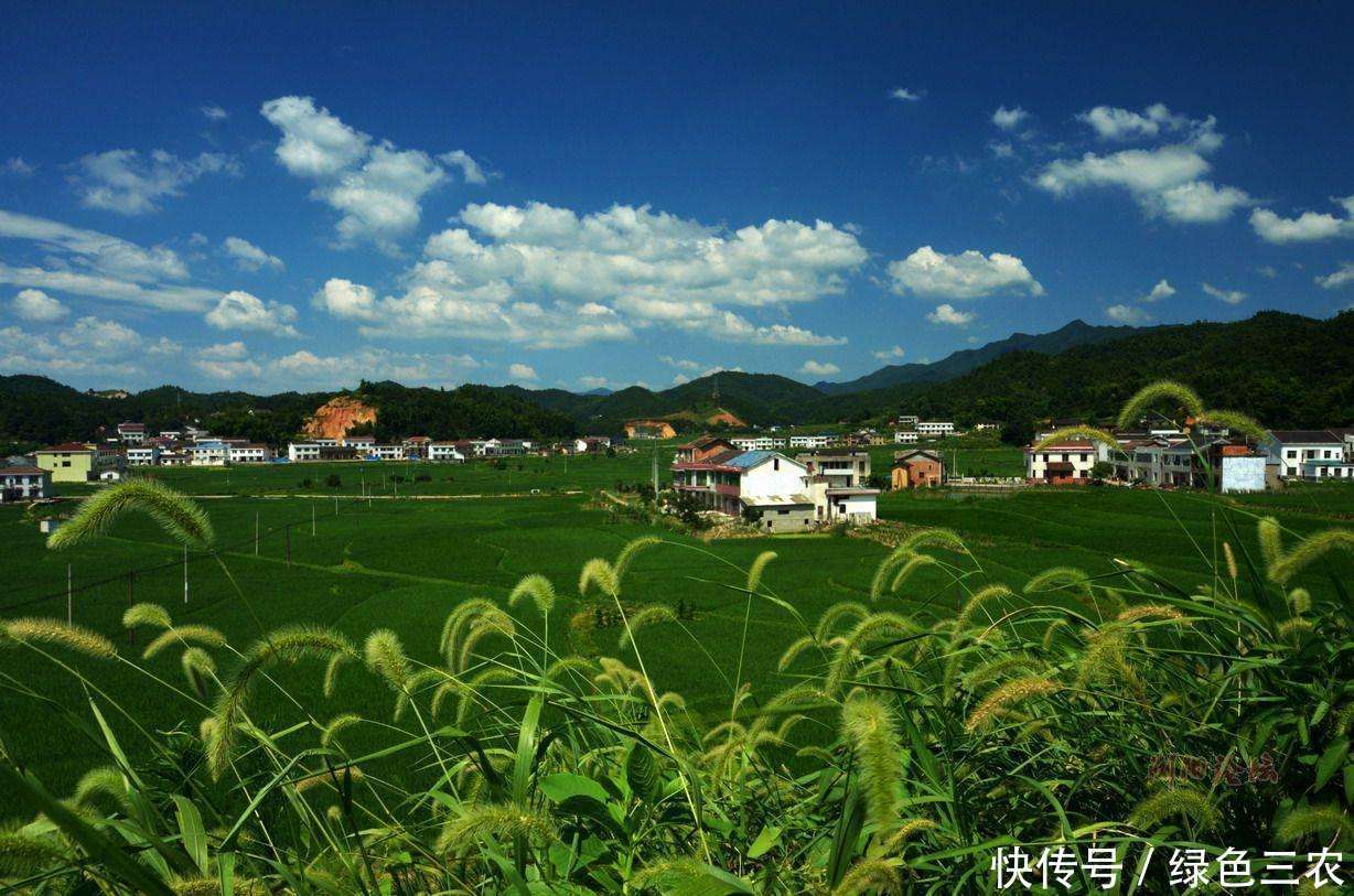 乡村振兴战略将改变什么,农民得到哪些切身福