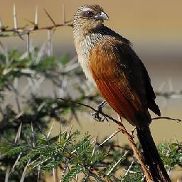 陈一发儿-最牛逼