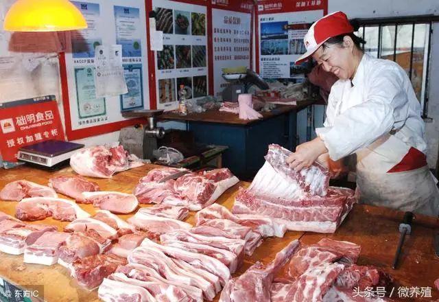 2019年上半年猪价预测