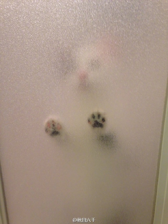 你和恐怖大片之间只差了一块毛玻璃