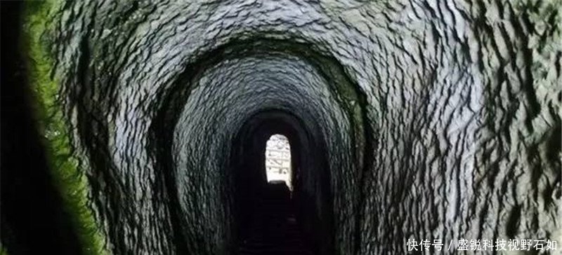 全球最神秘的隧道通往新西兰最美海滩,只会在
