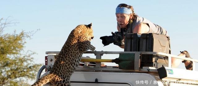 此国是非洲少有的经济发展不错的国家,有种病