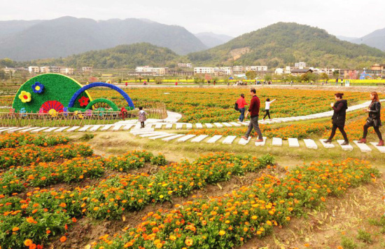 核心提示:春舞枝集团旗下花世界旅游公司相中了孔元村,大力实施"花