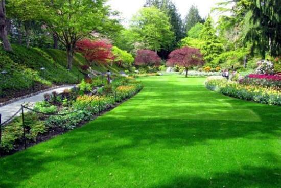 五月飘雪?令人异常讨厌的杨絮柳絮竟然还曾