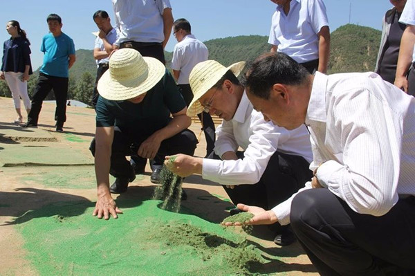 安塞区委书记任高飞检查调研重点项目建设