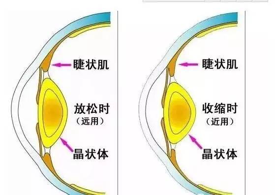 4种趣味运动帮助孩子保护视力