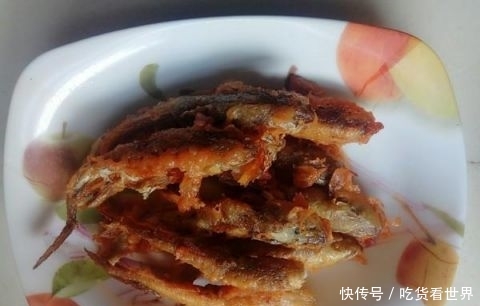 “它”全身是宝比甲鱼营养价值高 只要5元1斤却常常无人问津 xbet官网