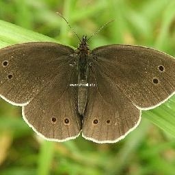 2017最新最火网络歌曲《成都》,终于找到原唱