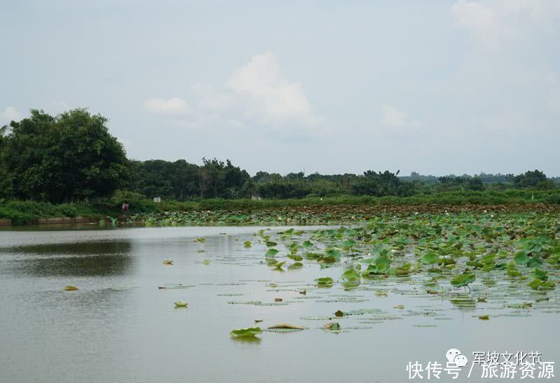 海南省澄迈县金江镇黄竹村九仙湖的传说