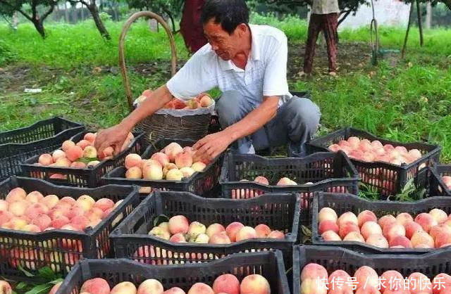 厉害了，河南这5个县市区被教育部点名，未来发展要逆天！