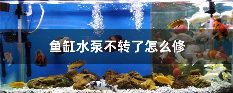 魚缸燈電源適配器維修 水族問答 第2張