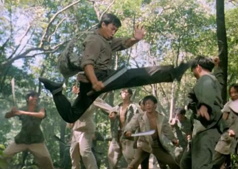 甄子丹腿法最帅的一部经典之作,李若彤饰演女主角