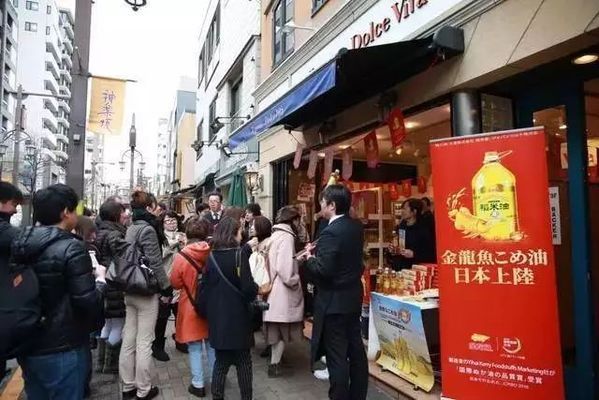 龍港哪里賣魚缸的地方多啊多少錢（龍港哪里有賣魚缸）