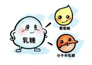 儿童腹泻专题 | 儿童腹泻与乳糖酶