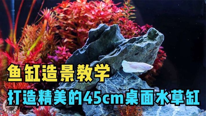 平潭縣龍輝水族店（平潭縣龍輝水族店 全國(guó)水族館企業(yè)名錄