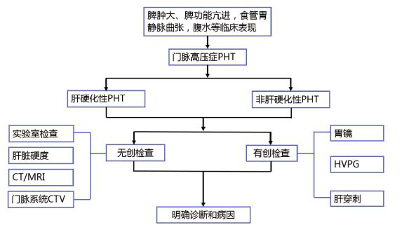 一文回顾| 导致门脉高压症的原因