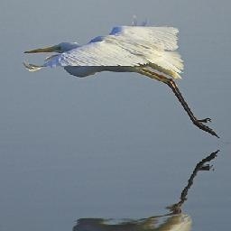 熊出没之再见丛林