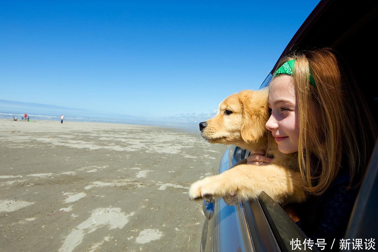 高考过后你就吃饭睡觉打豆豆?大错特错!文科状